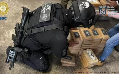 Narco y crimen en Am�rica: por qu� no se combaten en conjunto