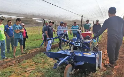 M�s de 350 peque�os agricultores obtienen arraigo mediante programa de apoyo productivo