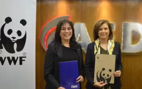 La AFD y WWF promover�n productos para el financiamiento forestal