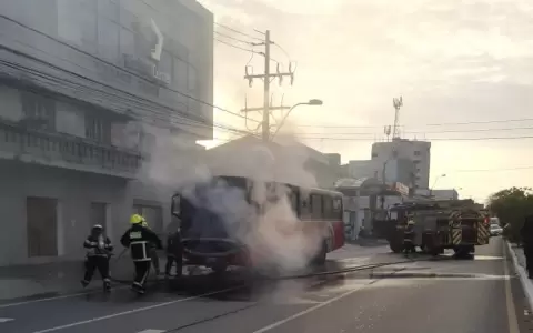 Una unidad de la l�nea 27 fue consumido en llamas esta ma�ana