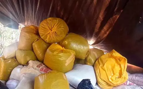 �eembuc�: incautan unos 194 kilogramos de marihuana en un veh�culo