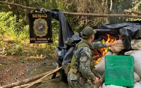 Senad desmonta campamento narco y elimina 1,4 toneladas de marihuana en la Reserva Moromb�