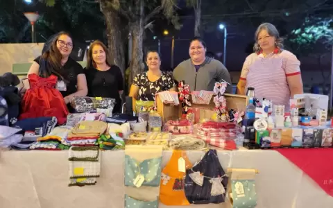 Temen que fondos para Mipymes se direccionen a proselitismo