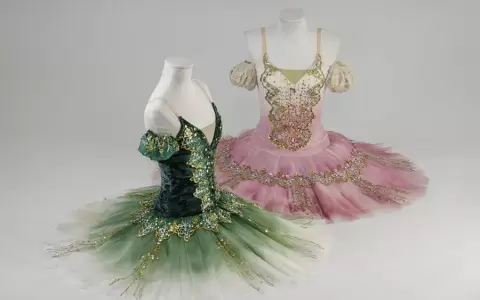Presentar�n libro sobre trayectoria del Ballet Cl�sico y Moderno Municipal de Asunci�n