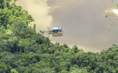 El 85 % del oro que exporta Colombia es ilegal