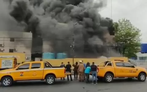 Fiscal�a form� equipo de trabajo que investigar� incendio en el TSJE