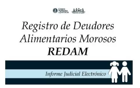 Habilitan web para registrar a quienes incumplen la prestaci�n alimenticia