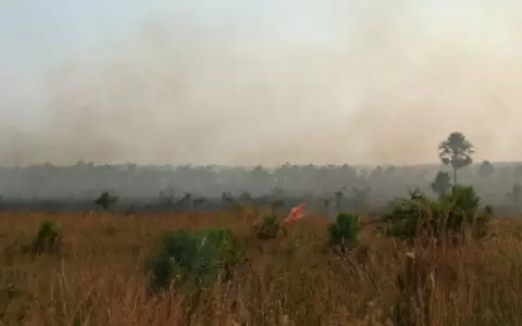 Incendio de grandes proporciones sobre la ruta Luque-San Ber a�n no fue controlado