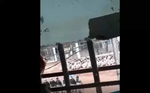 Viral: videos muestran supuesto maltrato a presos en c�rcel de Ciudad del Este