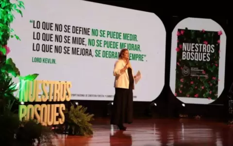 Paraguay apela al di�logo para garantizar sostenibilidad de sus bosques