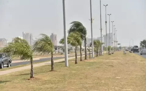 Se lleva todo a su paso: alerta de viento norte de hasta 60 km/h