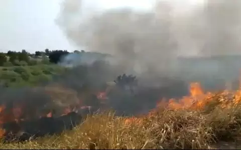 Incendio de gran magnitud en la Costanera Norte de Asunci�n