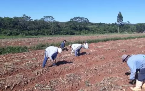 Peor producci�n agr�cola de la historia: UGP reporta p�rdidas por USD 3.000 millones