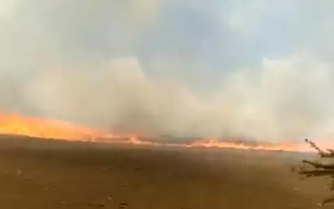Reportan incendio de gran magnitud en zona de la ruta Luque - San Bernardino