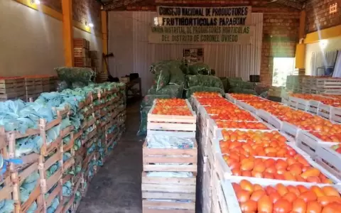Productores frutihort�colas.