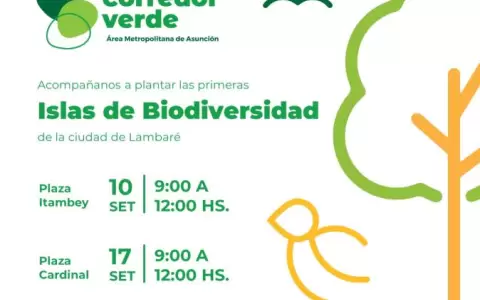 Por medio de plantaciones, proyectan �Islas de Biodiversidad� en la ciudad de Lambar�