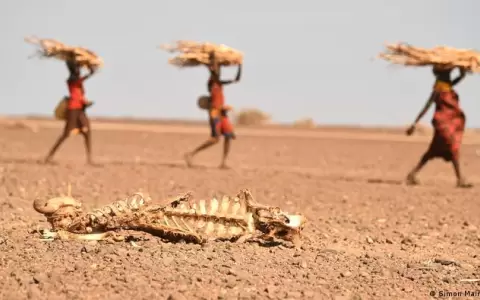 Cada 4 segundos un ser humano muere de hambre en el mundo