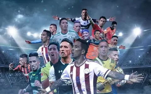 Lucas Barrios anuncia su retiro tras dos d�cadas de carrera