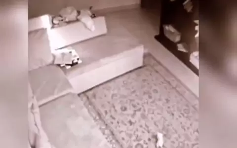 Rescatan a ni�a del video viralizado e imputan a la madrastra