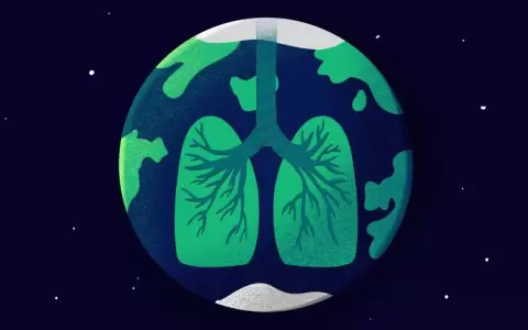 Recuerdan el D�a Mundial del Pulm�n