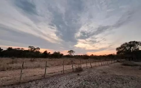 Por tercer a�o, fuerte sequ�a y falta de lluvias azotan al Chaco paraguayo