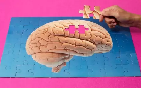 �Cerebro joven toda la vida?: c�mo es la innovadora t�cnica que evita el deterioro cognitivo