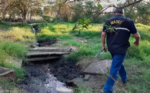 Denuncian que matadero de San Pedro del Paran� funciona sin total control