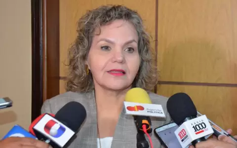 Senado: Samaniego solicitar� debate sobre el caso del avi�n iran�