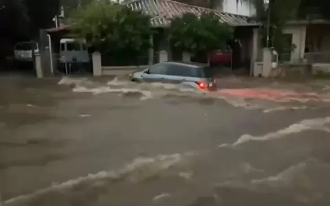 Temporal derriba a su paso �rboles y cables