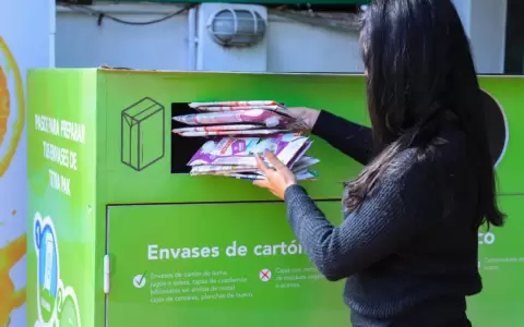 Empresa recolect� 1,2 millones de toneladas de envases de cart�n durante un a�o