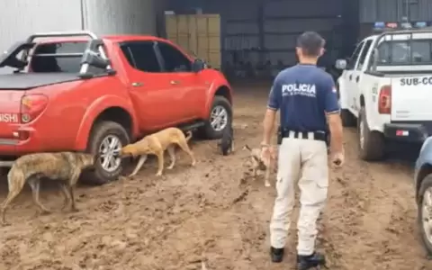 Se llevaron costosas maquinarias durante asalto tipo comando en estancia de Misiones