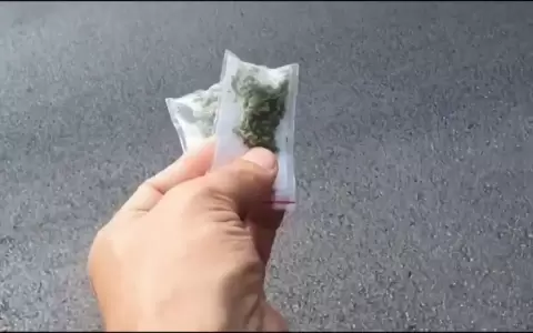 Incautan marihuana y arma blanca de estudiante en un colegio