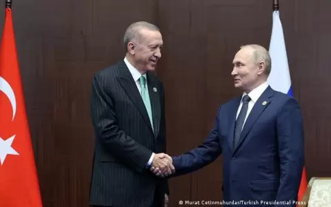 Putin propone a Erdogan crear un "centro gas�stico" en Turqu�a
