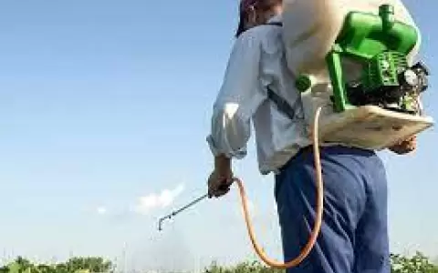 Imputan a brasile�o por supuestos delitos ambientales