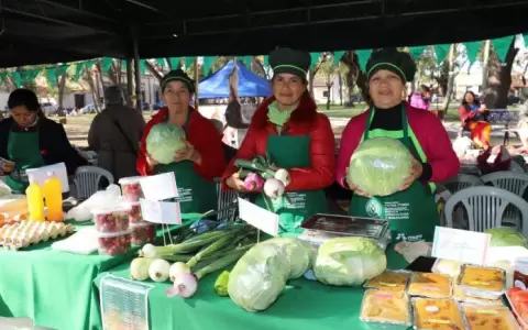 Productores de �eembuc� tuvieron G. 115 millones de ingresos en feria, destacan