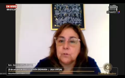 Senadora pide a Abdo revertir el Plan Nacional de Transformaci�n Educativa