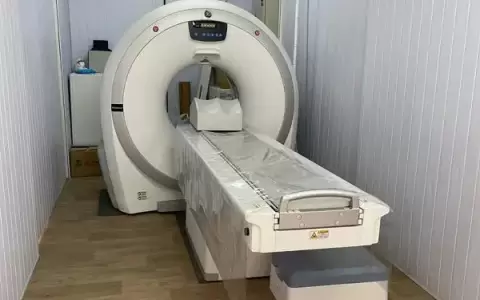 Se habilita primer tom�grafo de uso exclusivo veterinario