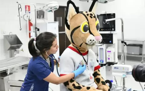 Tirika visit� el Centro de Investigaci�n de Animales Silvestres y se reuni� con "su familia"