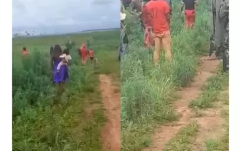 "El Estado paraguayo est� obligado a proteger a los pueblos ind�genas y garantizar su bienestar"