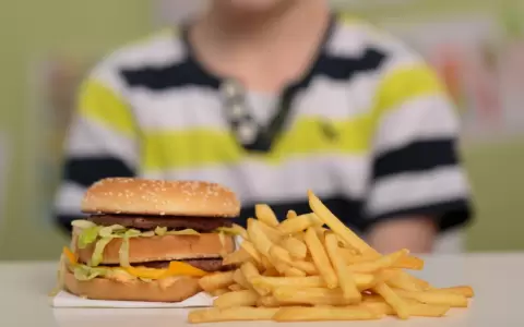 90 % de adolescentes y escolares consumen comidas r�pidas m�s de tres veces a la semana