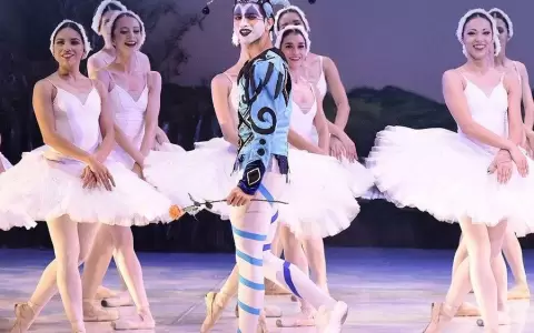 Nuevas funciones de �El lago de los cisnes� en el Teatro Municipal
