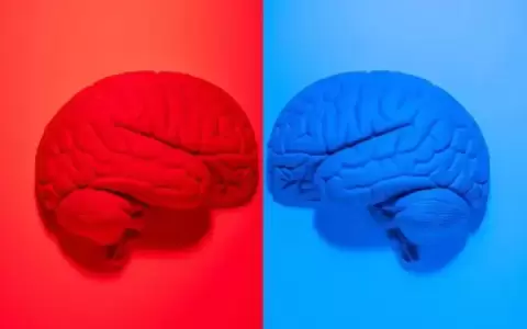 �Qu� quieren decir los t�rminos ultraizquierda y ultraderecha (y c�mo se usan en la actualidad)?