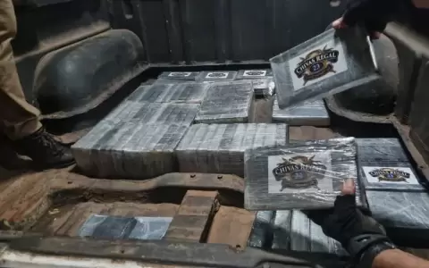 Encuentran dentro de una camioneta 273 kilos de coca�na