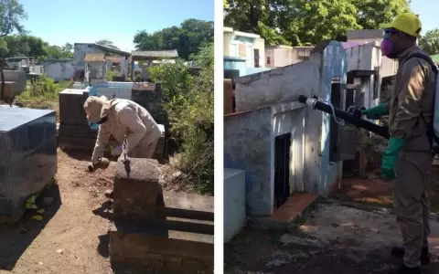 Senepa activa operativo en cementerios para d�as de "Todos los Santos y Fieles Difuntos�