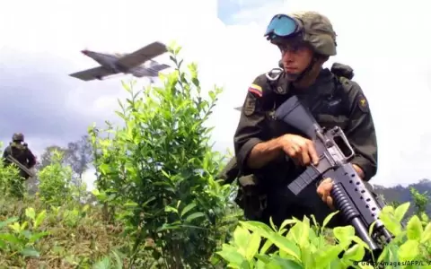 Colombia rompe r�cord hist�rico de cultivos de coca