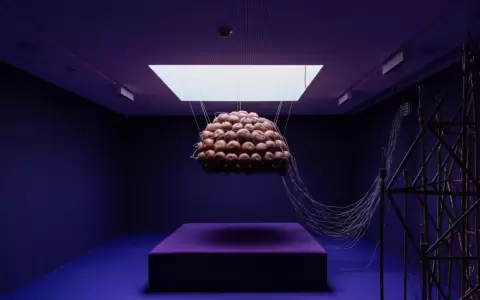 13��Bienal del Mercosur: Trauma, sue�o y fuga