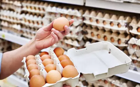 Gallina feliz: en Paraguay m�s empresas se lanzan a producir huevos libre de jaulas