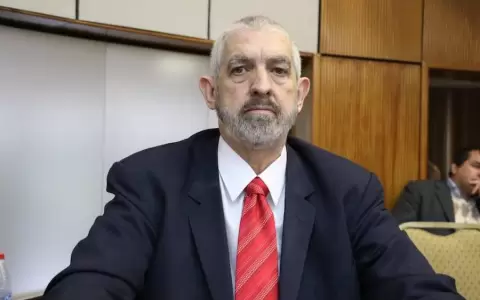 Guair�: senador no considera llevar adelante elecciones en a�o nuevo