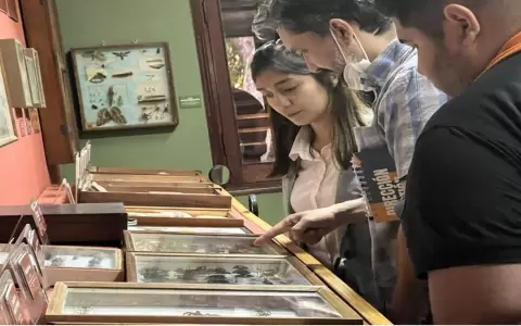 Se anuncia Congreso de Museolog�a en su quinta edici�n