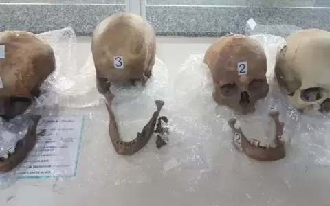Mujer llevaba 4 cr�neos humanos en su valija de Paraguay a Argentina